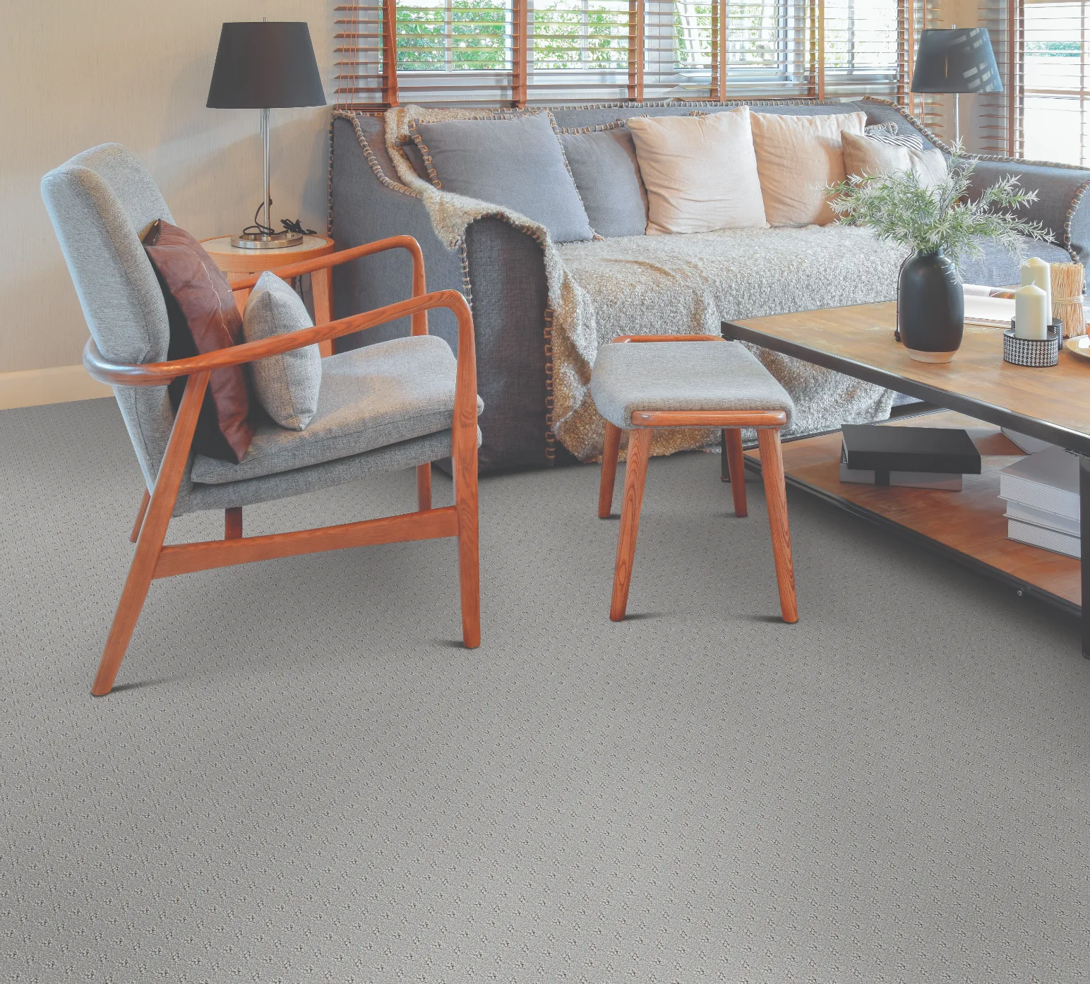 Soft gray carpet in a bright, comfortable living room